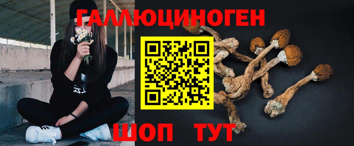 Волжский  Псилоцибиновые грибы мицелий  Галлюциногенные грибы прущие грибы  закладка  Вход с VPN 